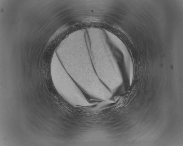 X0000072980919200608211346