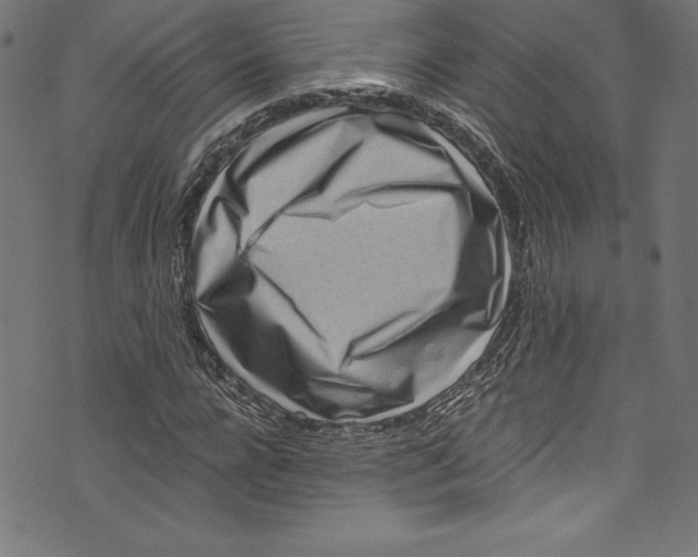 X0000072980920200608211346