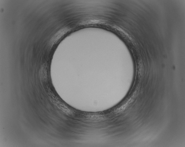 X0000072980921200608211346