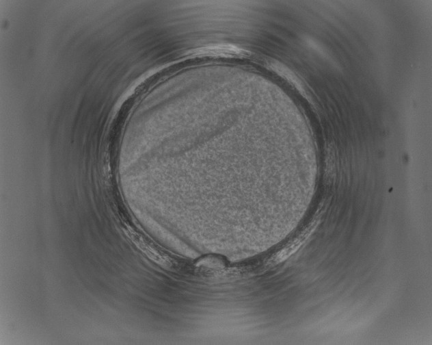 X0000072980923200608211346