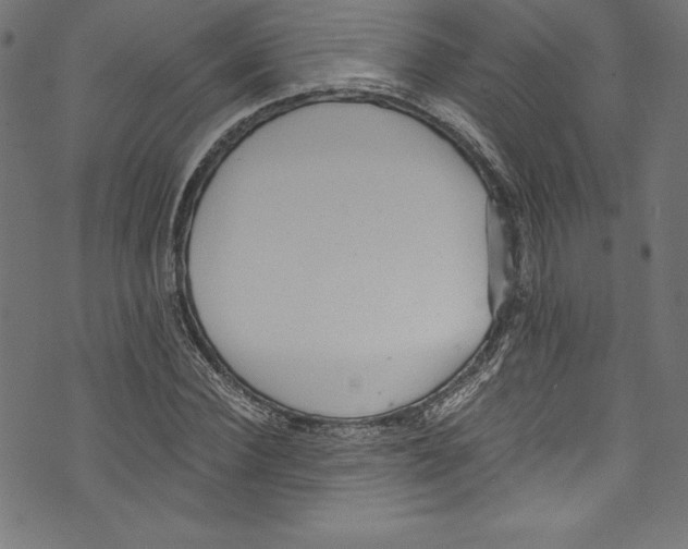 X0000072980924200608211346