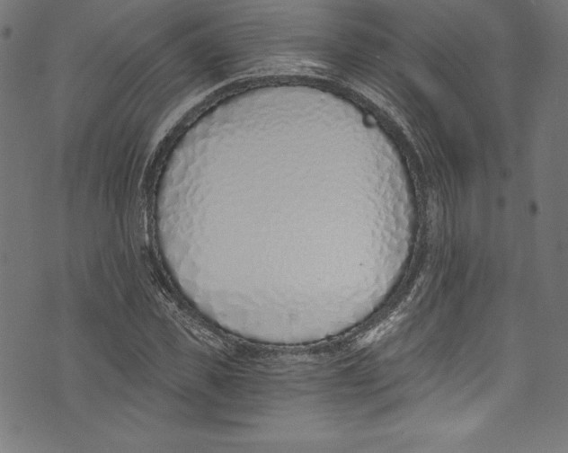 X0000072980925200608211346