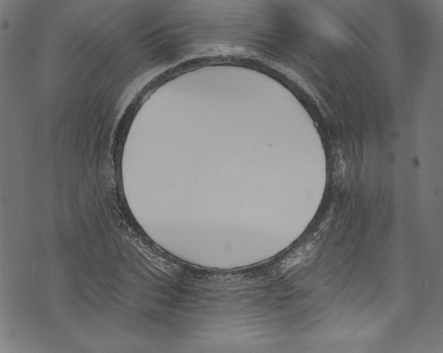 X0000072980927200608211346