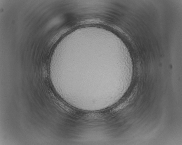 X0000072980929200608211346