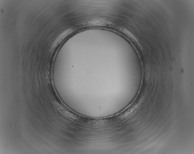 X0000072980930200608211346