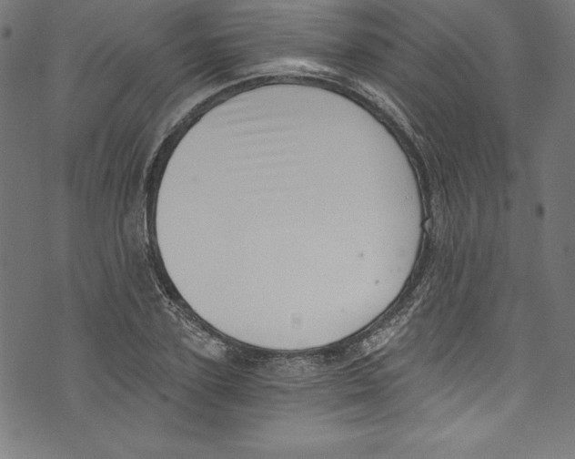 X0000072980931200608211346