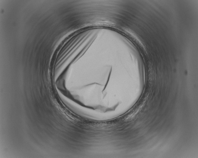 X0000072980932200608211346