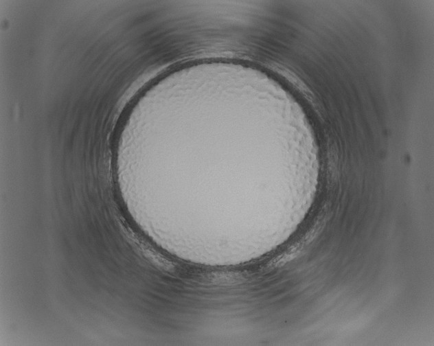 X0000072980933200608211346