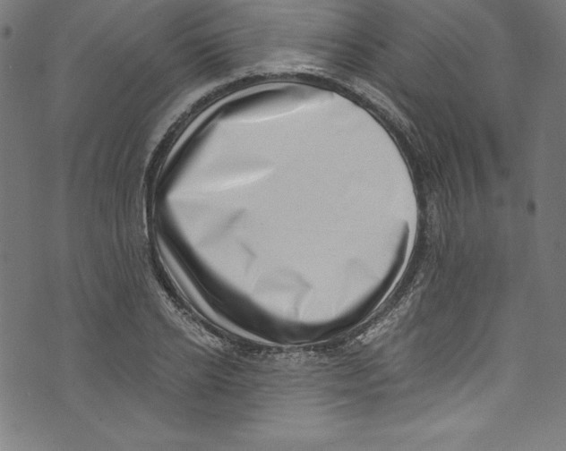 X0000072980934200608211346