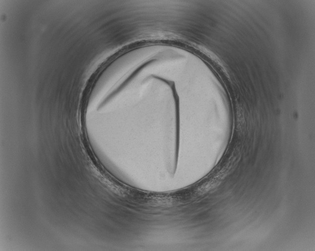 X0000072980935200608211346