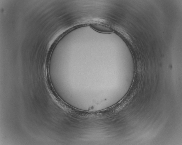 X0000072980936200608211346