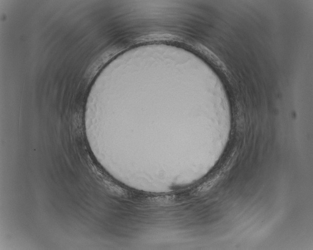 X0000072980937200608211346