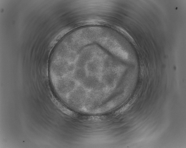 X0000072980938200608211346