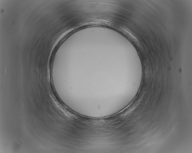 X0000072980940200608211346