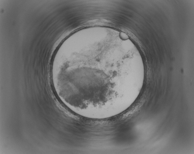 X0000072980941200608211346