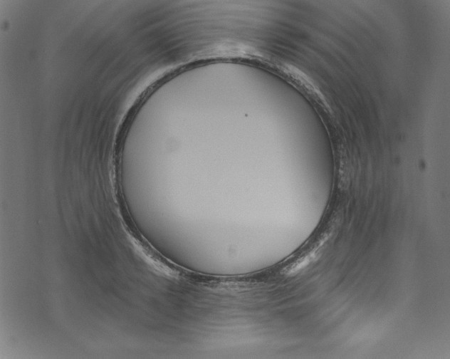 X0000072980942200608211346