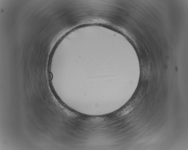 X0000072980943200608211346