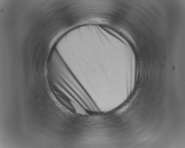 X0000072980944200608211346