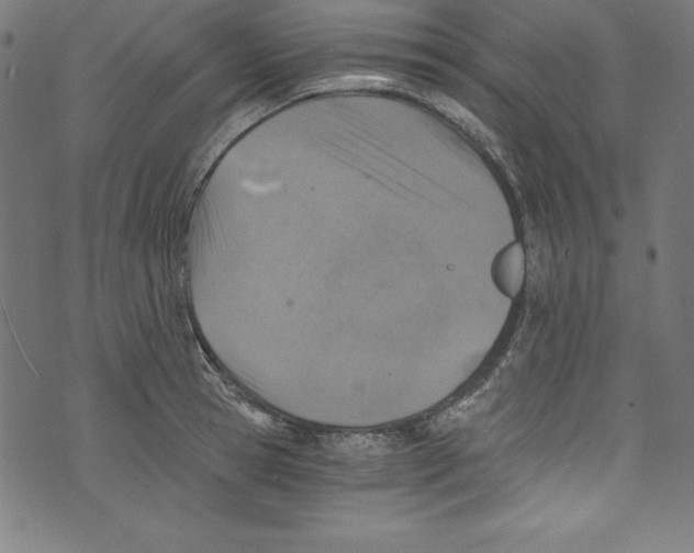 X0000072980945200608211346