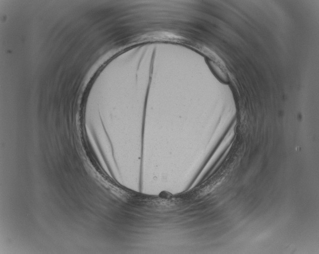 X0000072980947200608211346