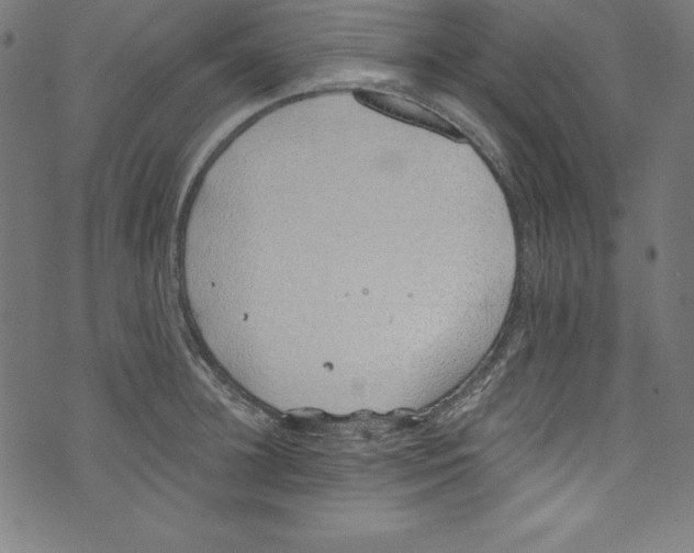 X0000072980948200608211346