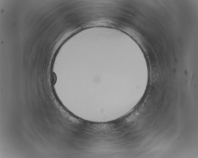 X0000072980949200608211346