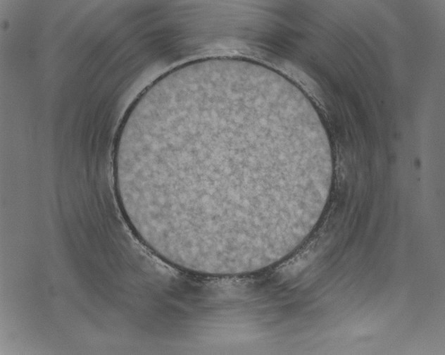 X0000072980950200608211346