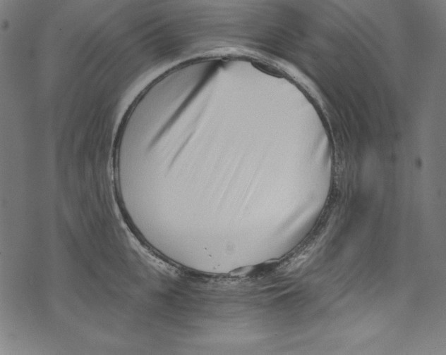 X0000072980951200608211346