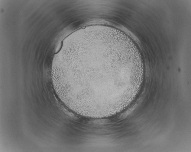 X0000072980953200608211346