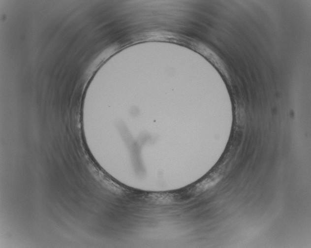 X0000072980954200608211346