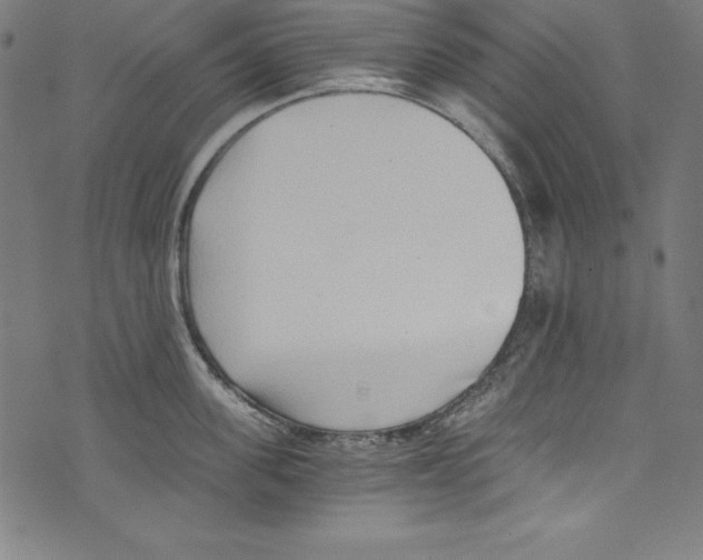 X0000072980955200608211346