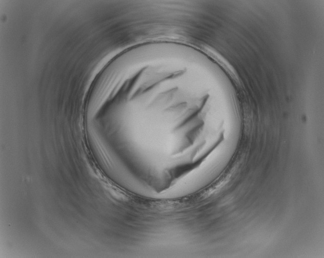 X0000072980956200608211346