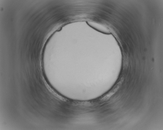 X0000072980957200608211346