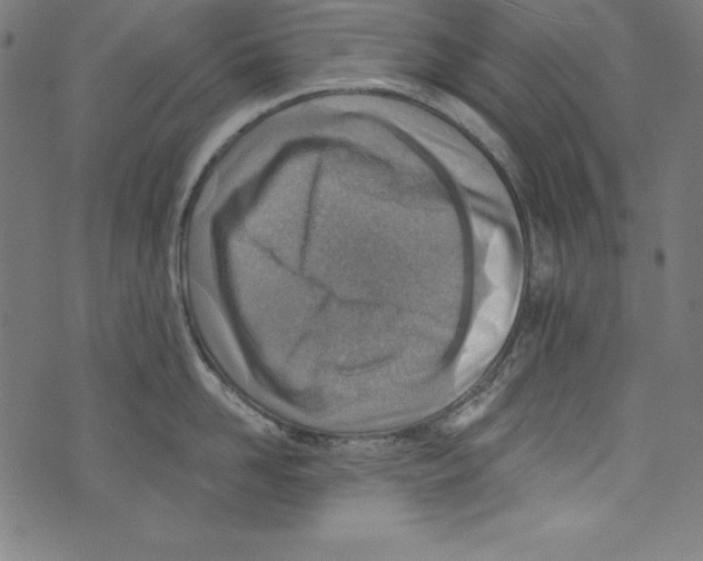 X0000072980958200608211346