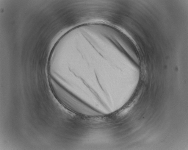 X0000072980959200608211346