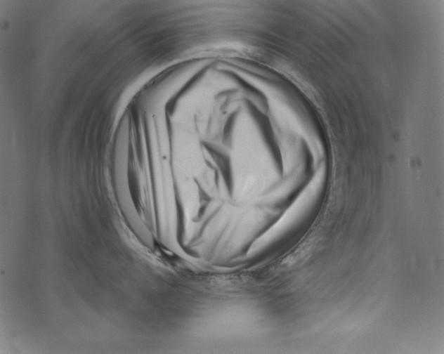 X0000072980960200608211346