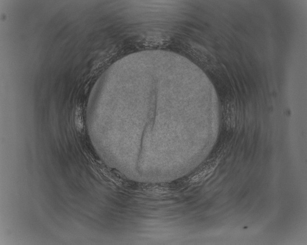 X0000072980962200608211346