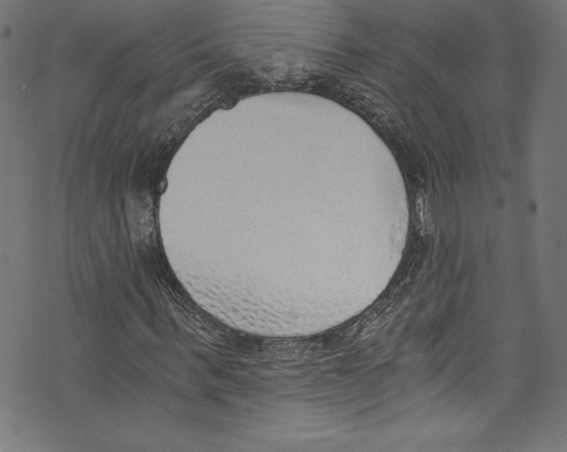 X0000072980963200608211346