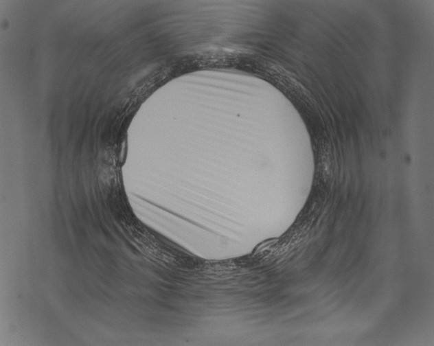 X0000072980964200608211346