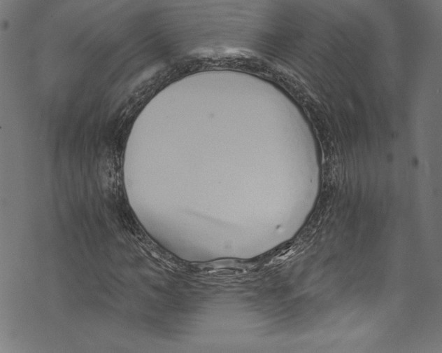 X0000072980966200608211345