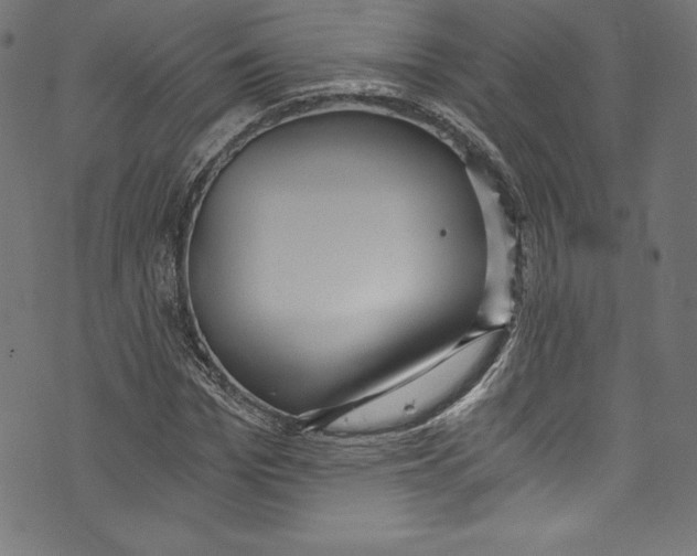 X0000072980969200608211345