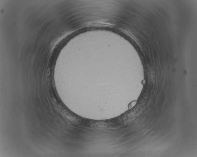 X0000072980971200608211345