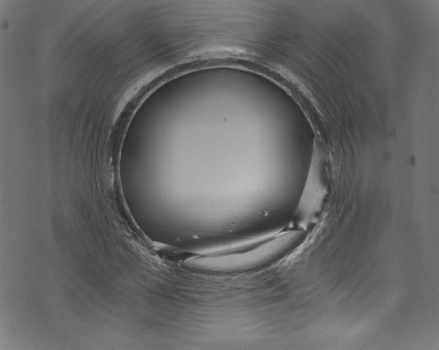 X0000072980973200608211345