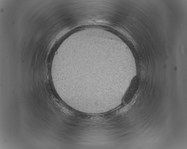 X0000072980974200608211345