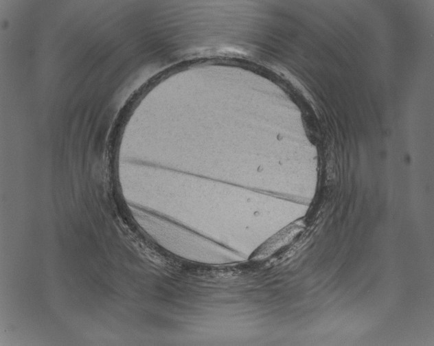 X0000072980975200608211345