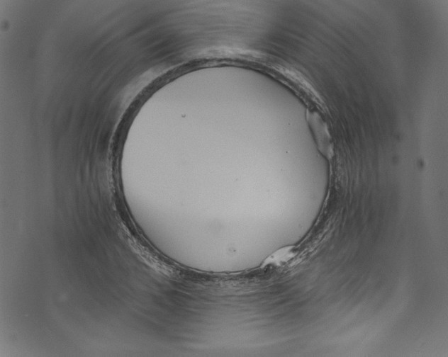 X0000072980976200608211345