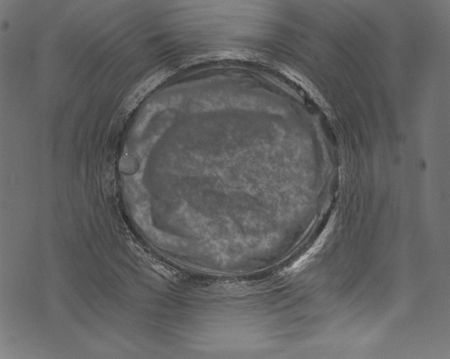 X0000072980977200608211345