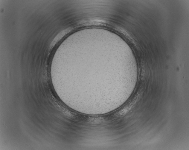 X0000072980978200608211345