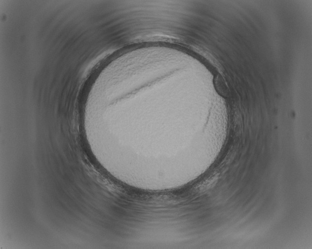 X0000072980979200608211345