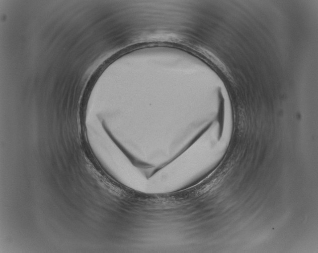 X0000072980980200608211345